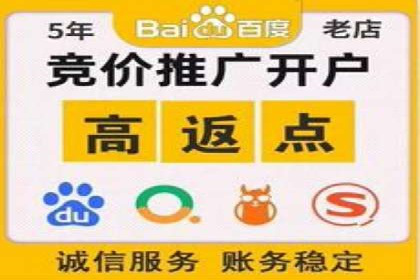 行业专家眼中的SEM竞价培训：成功要素与挑战